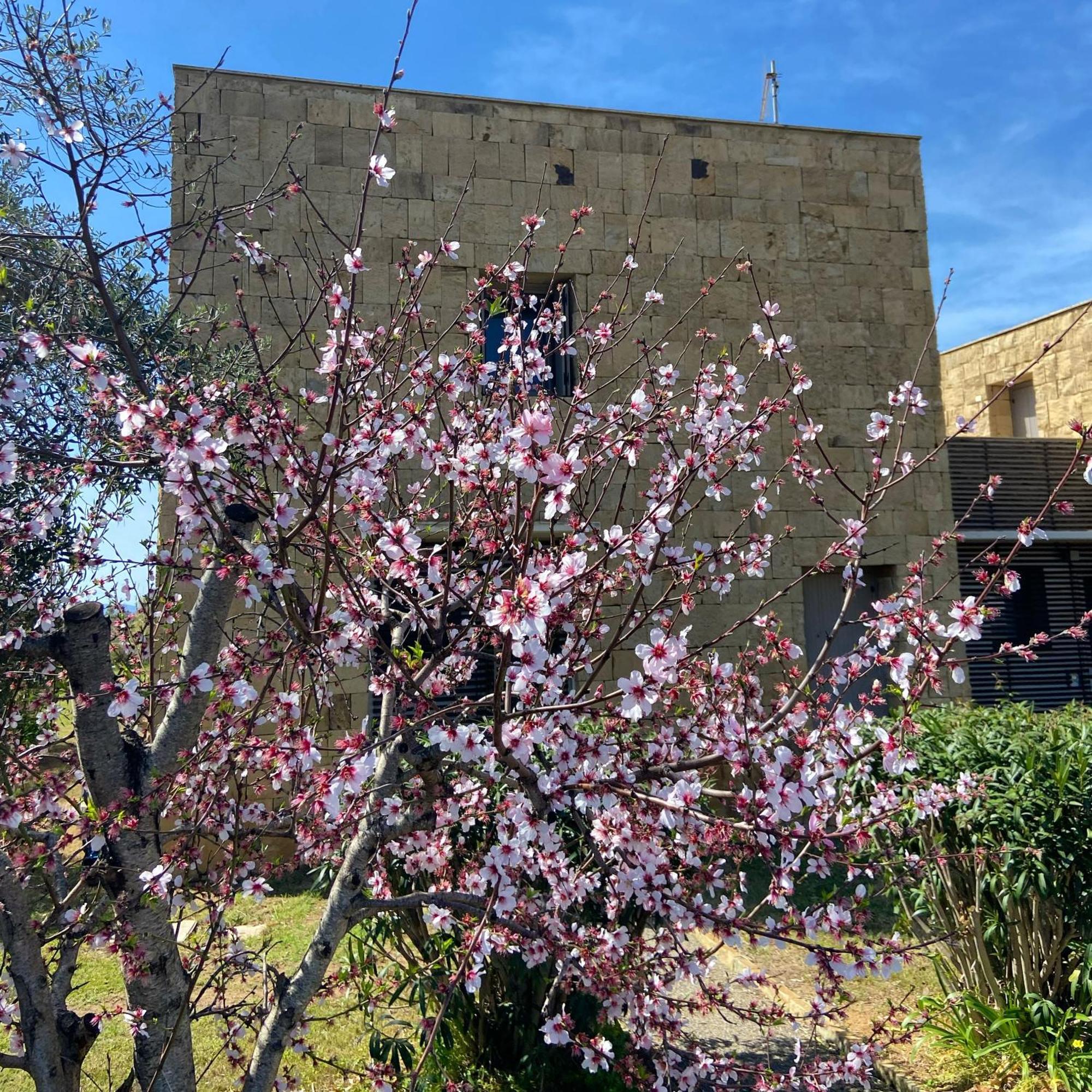 Casa Barbara Sardinia Villa Masainas ภายนอก รูปภาพ